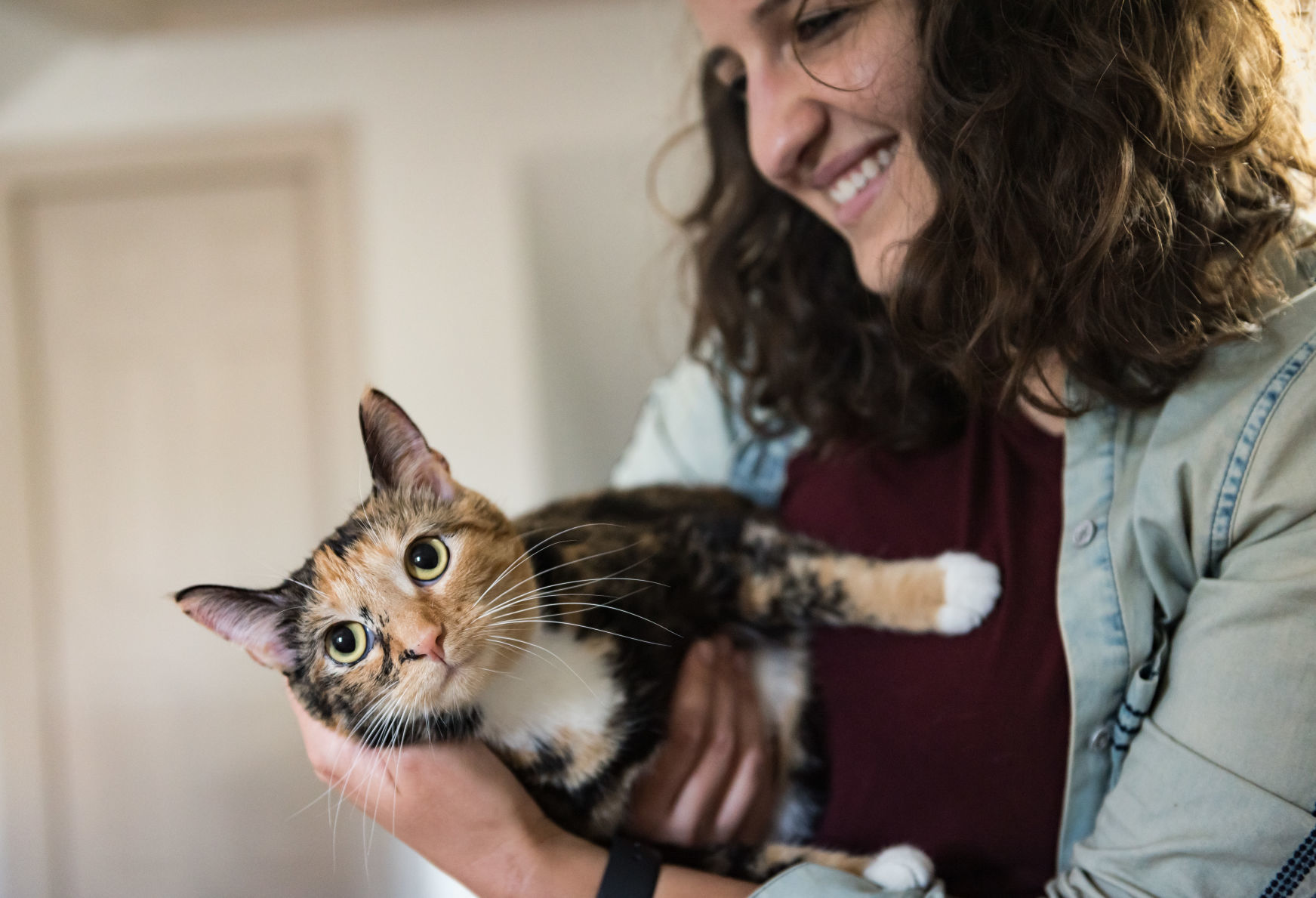 Cats Rescued From House Fire